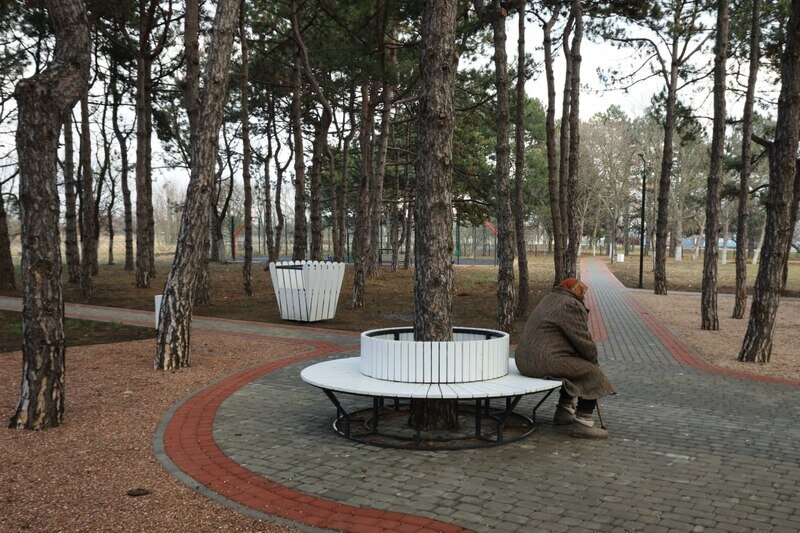 Жизнь вне памяти: как распознать болезнь Альцгеймера