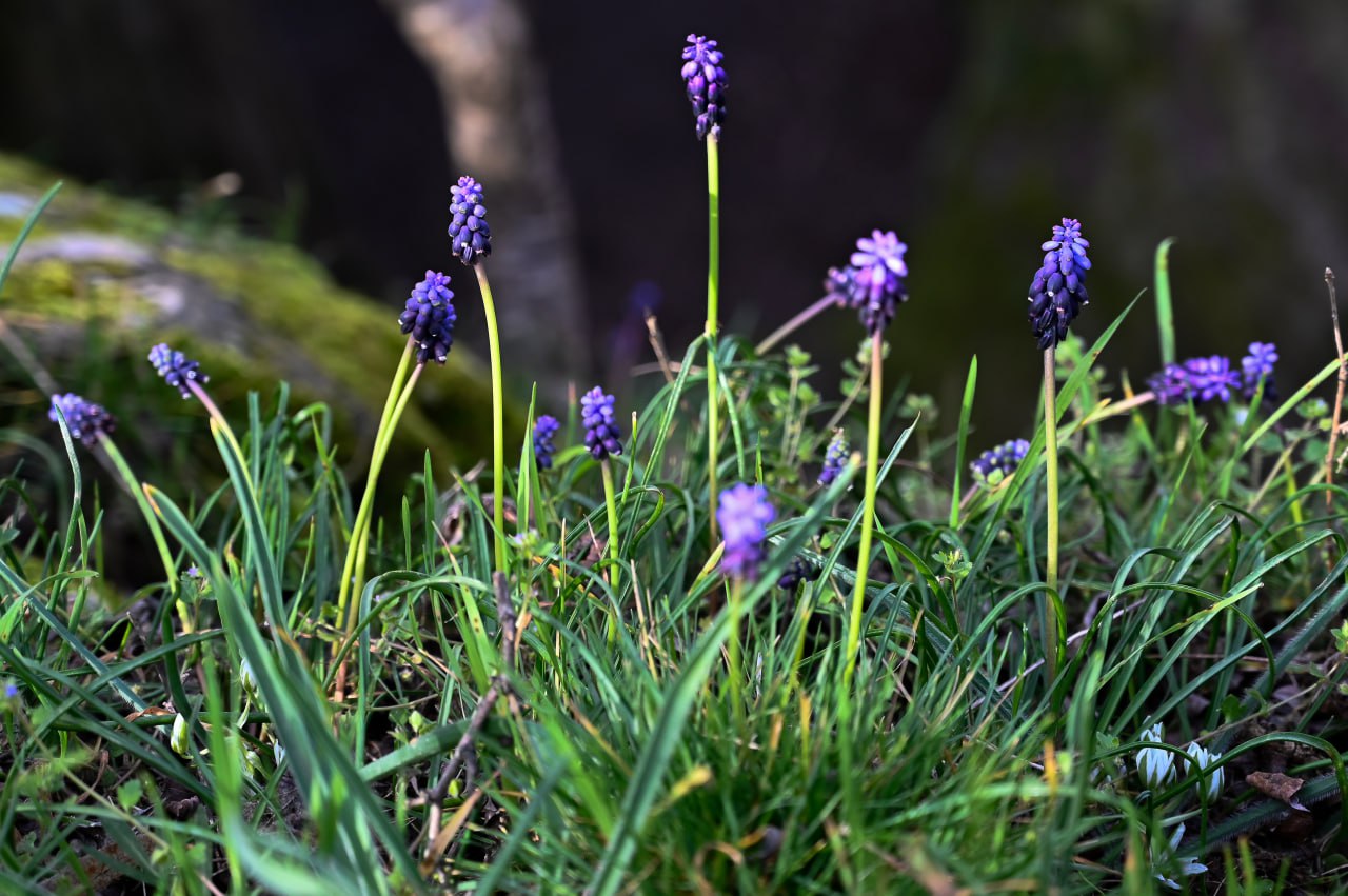 Погода в Крыму 5 марта: солнечно, днём до +13