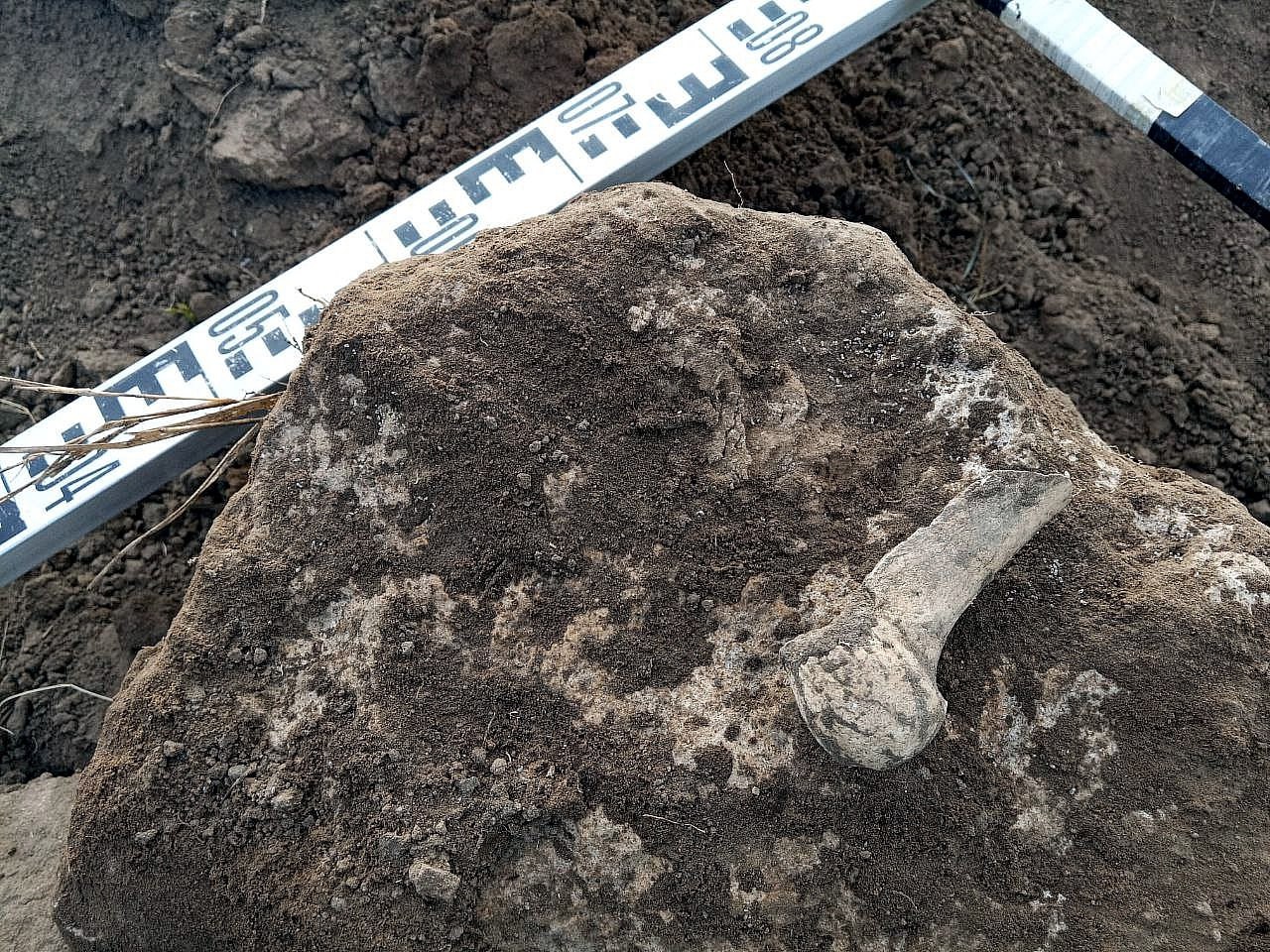 В Ленинском районе Крыма из-за прокладки водовода повреждены уникальные артефакты: работы остановлены