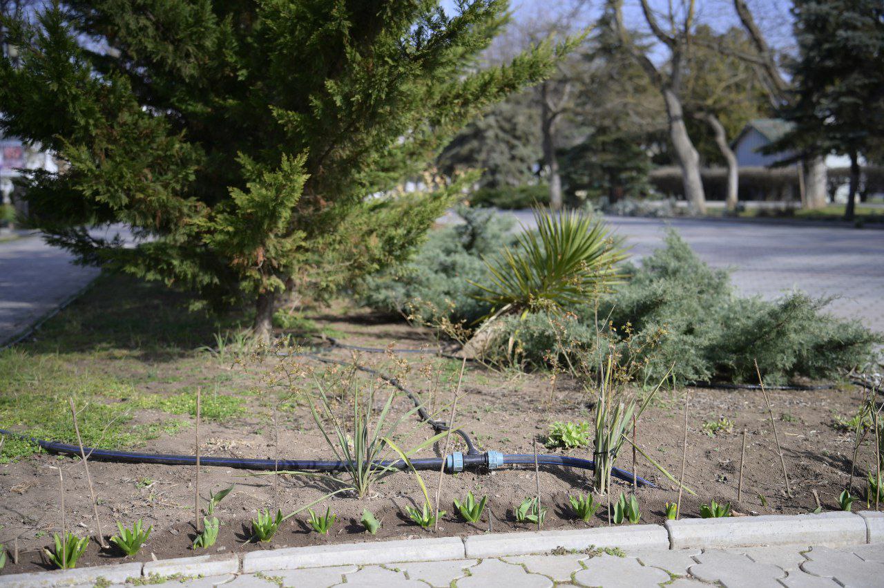 В Евпатории устанавливают систему капельного полива