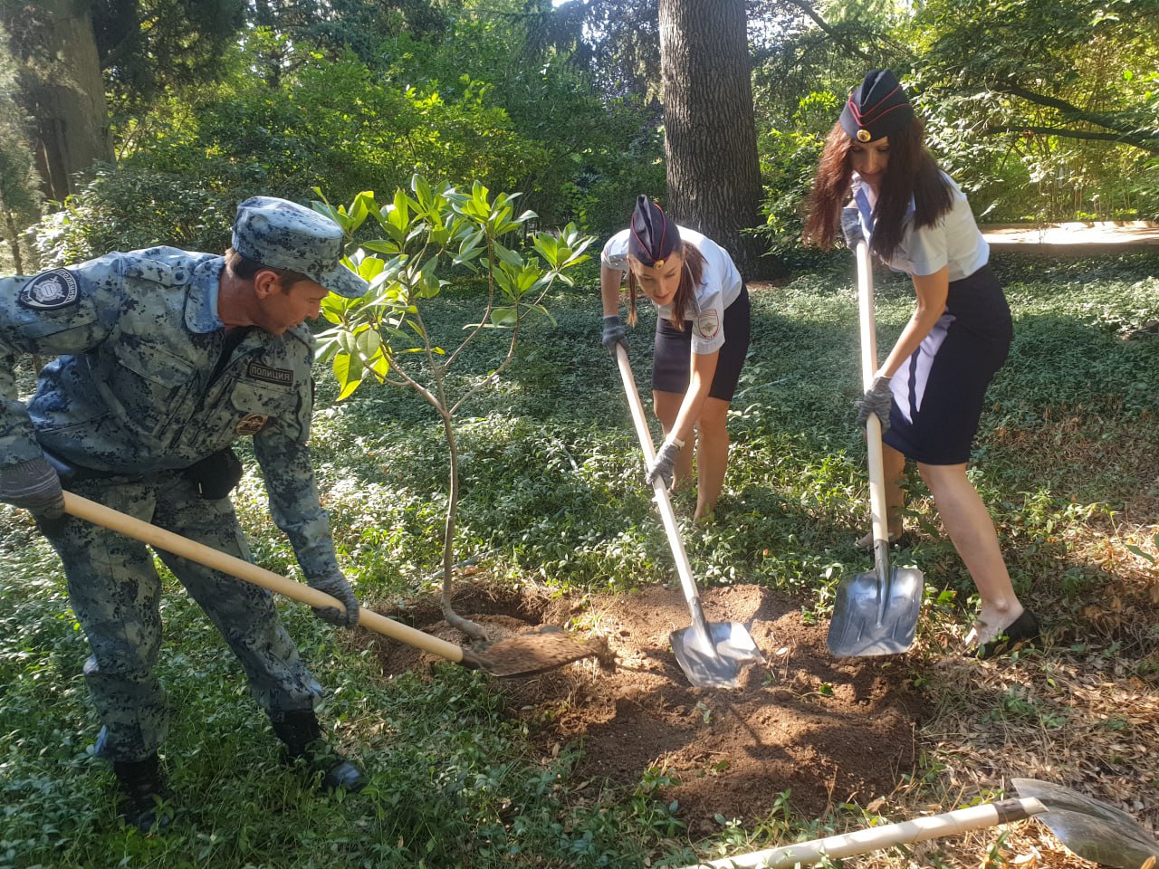 В рамках патриотической акции сотрудники МВД Ялты высадили в Ботаническом саду магнолию 