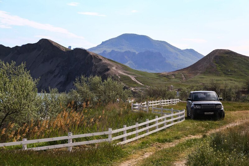 Сколько болезней у человека и может ли укачать водителя: рубрика интересных фактов