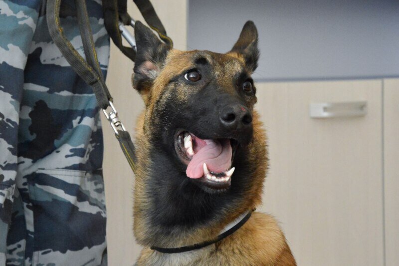 Какой сегодня день: 21 июня