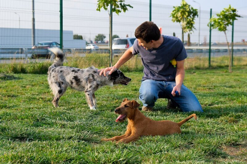 26 августа: какой сегодня день