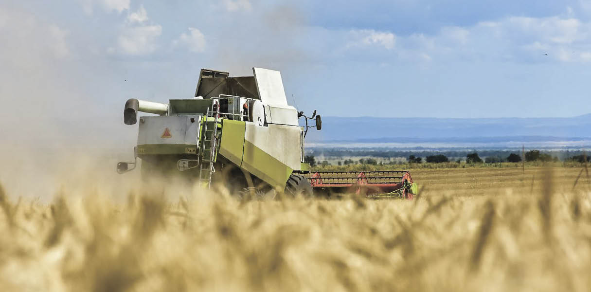 Уникальное медоборудование и крымский бренд: главные события августа 2025 года в Крыму