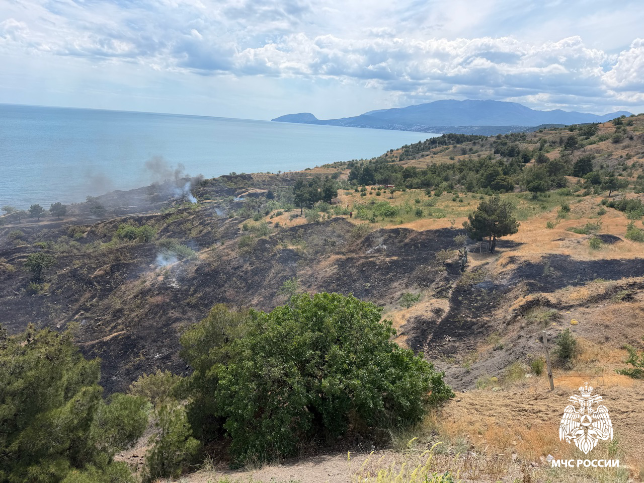 Огнеборцы ликвидируют крупный природный пожар под Алуштой