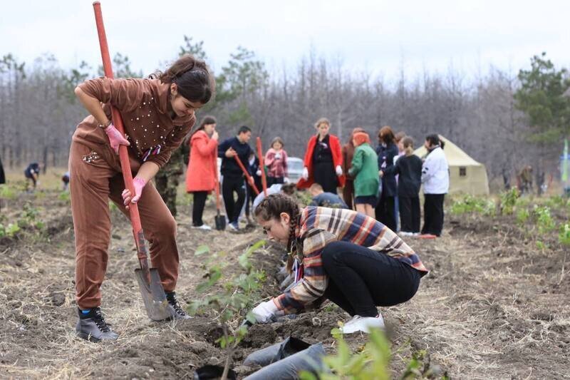 Куда сходить: интересные мероприятия 10 ноября в Крыму