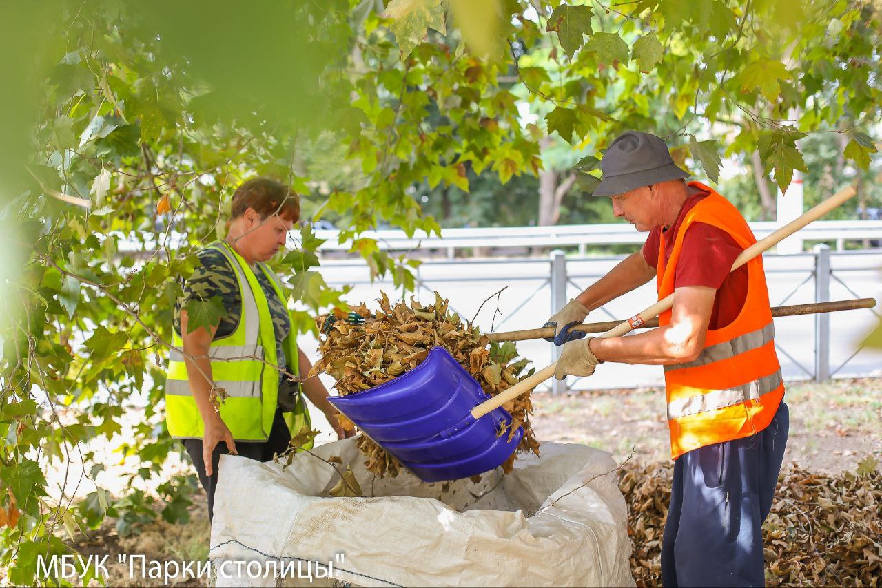 В парках Симферополя началась уборка листвы