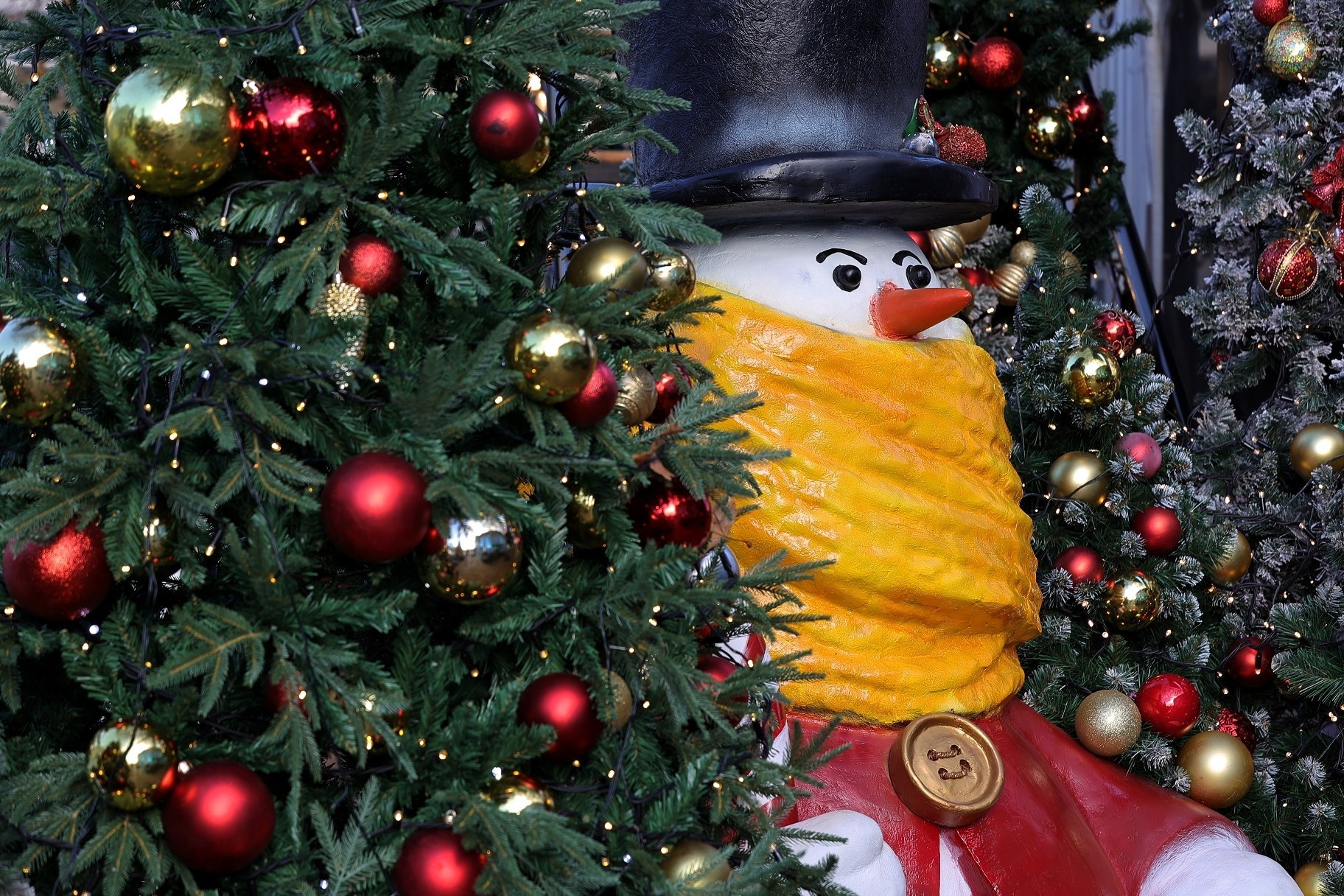 Куда сходить и что посмотреть с 26 декабря по 7 января в Крыму