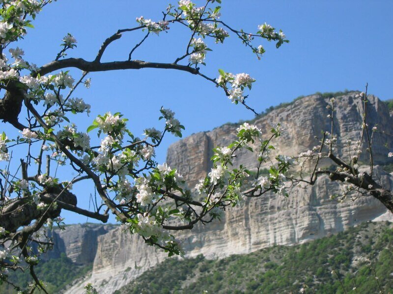 Константин Ушинский в Крыму: интересные факты об  "отце русской педагогики"