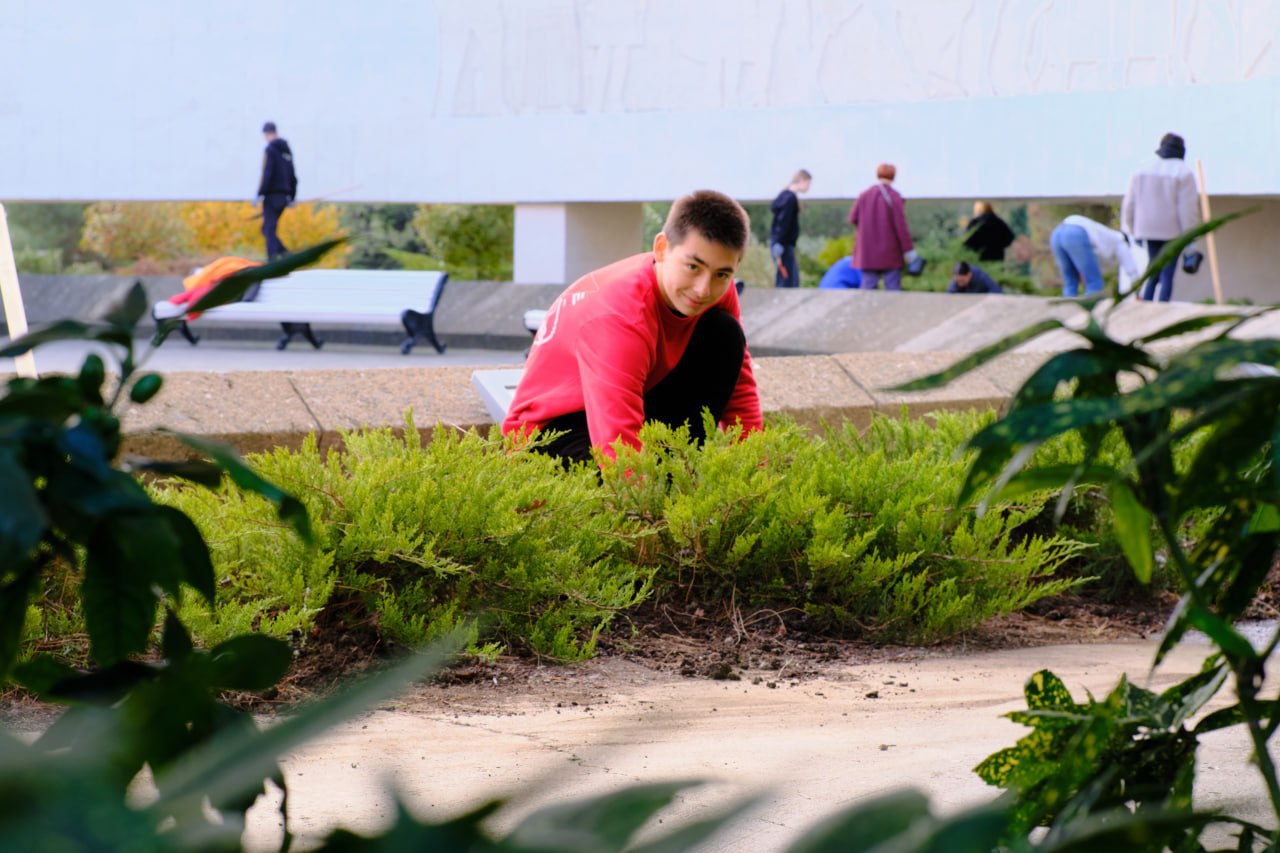 Ко Дню Неизвестного солдата на Холме Славы в Ялте высадили тысячи тюльпанов