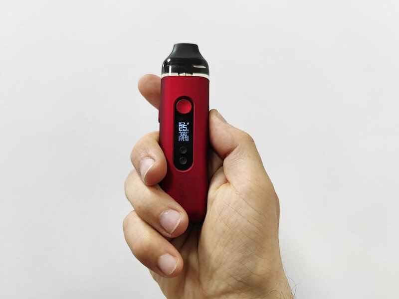 Юрист рассказал, что грозит спортсменке, давшей покурить вейп обезьяне в крымском зоопарке