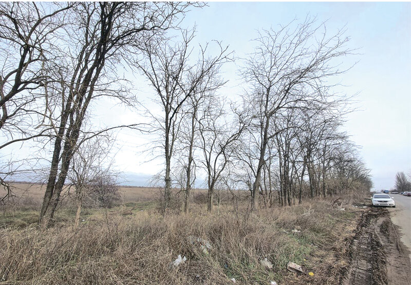 От чего зависит продовольственная безопасность Крыма