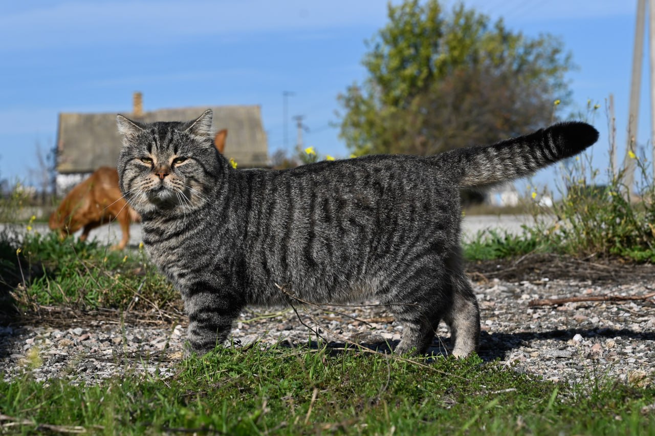 Погода в Крыму 7 ноября: тепло и солнечно