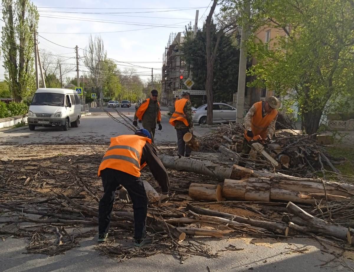 В Феодосии ветер повалил деревья
