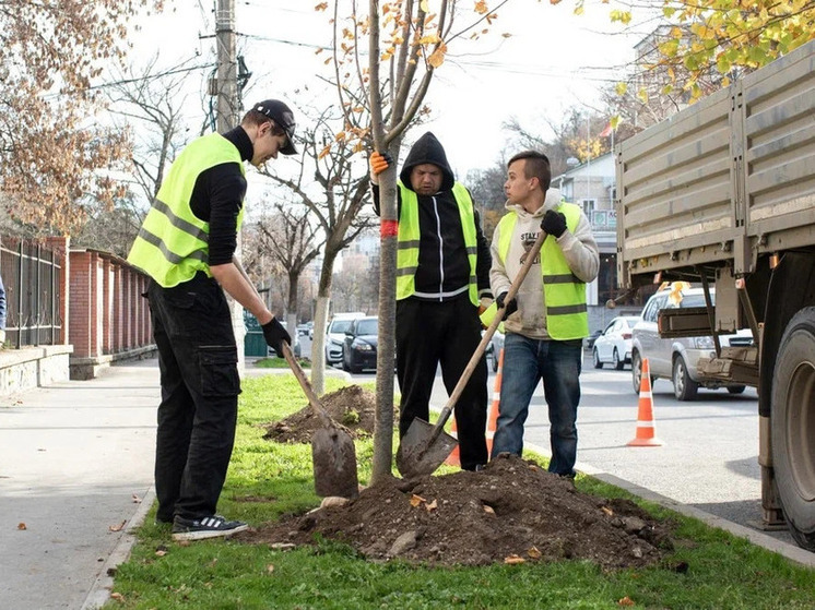 На каких улицах Симферополя высадят деревья