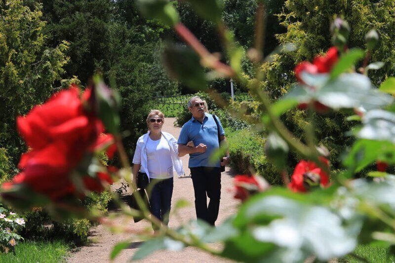 Врач рассказала, как укрепить здоровье людям преклонного возраста