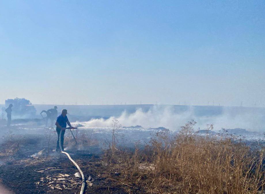 Свыше 200 возгораний сухой растительности ликвидировали крымские огнеборцы в июле