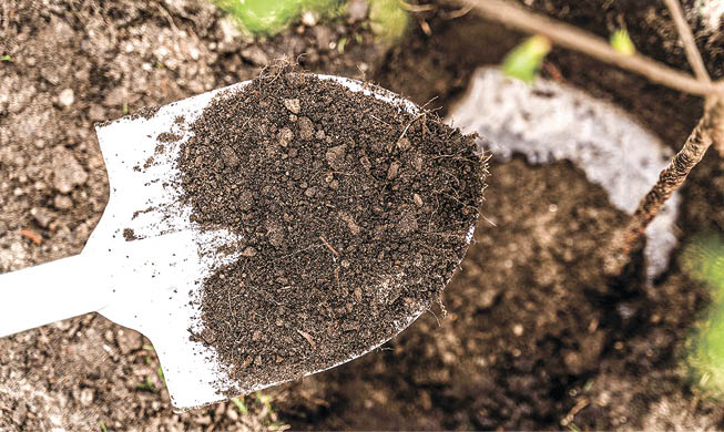 Готовим почву к зиме: как повысить плодородие и урожайность