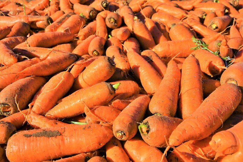 Аграрии Крыма готовы напрямую поставлять в школы региона свою продукцию