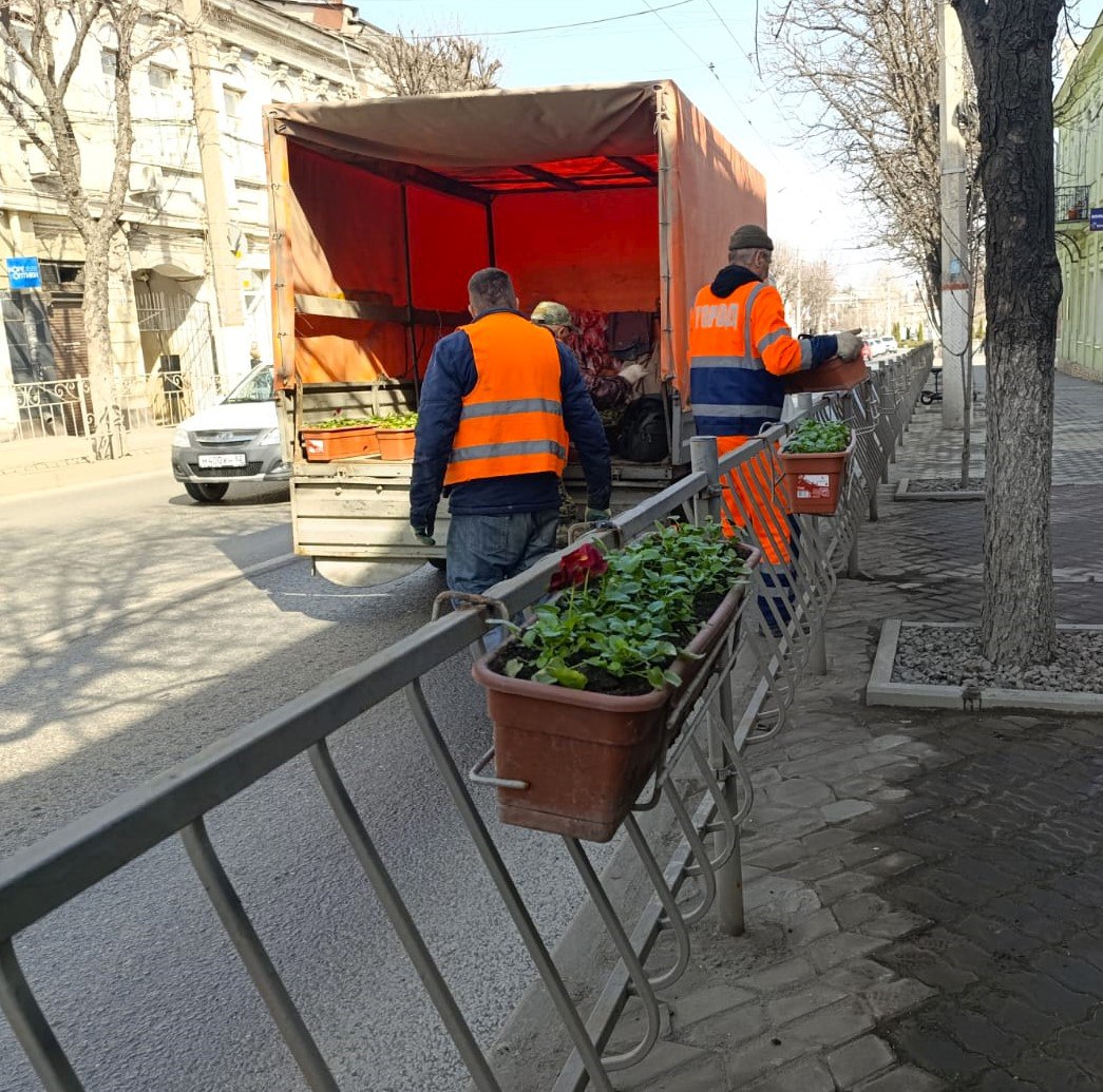 Центральные улицы Симферополя украсят 900 кашпо с виолами 