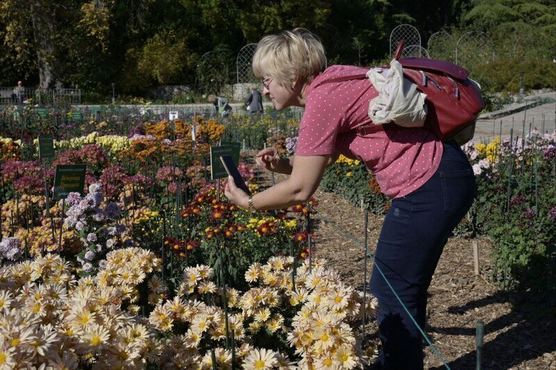Куда сходить: интересные мероприятия 1 ноября в Крыму