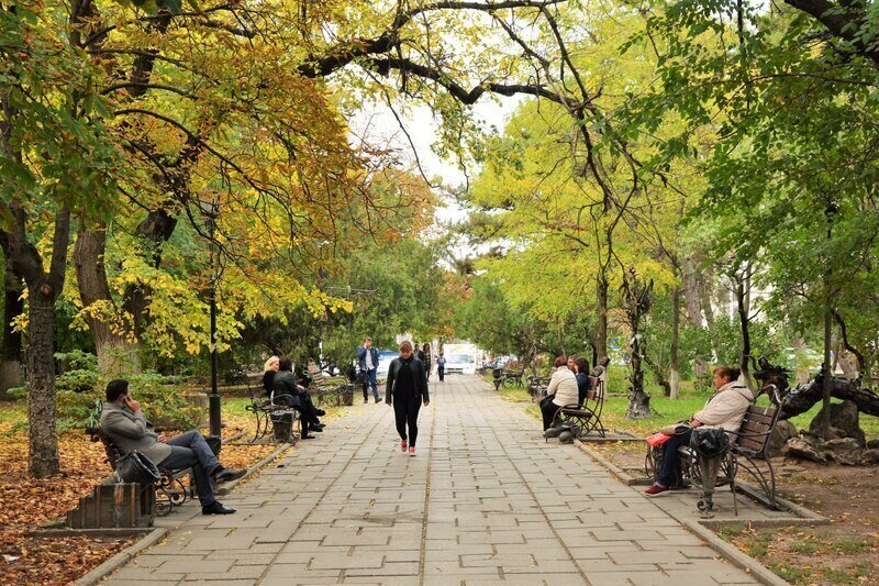 Простуда и обострение хронических заболеваний: как укрепить иммунитет осенью