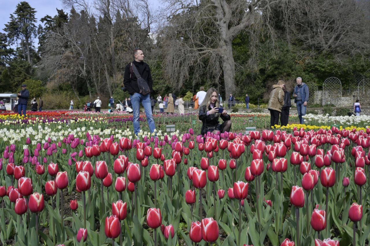 В Никитском ботаническом саду стартовал Парад тюльпанов - фоторепортаж