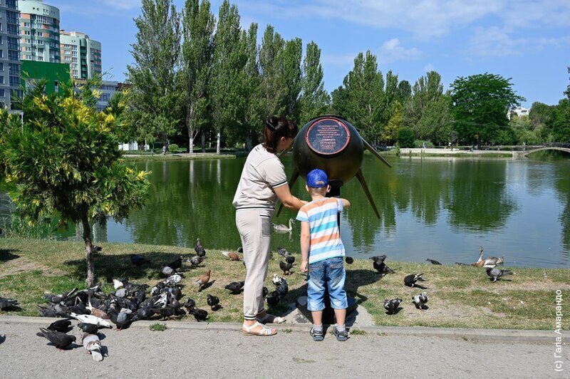 Скрещиваются ли заяц и кролик, когда слабеют магниты, суперспособность голубей: рубрика интересных фактов
