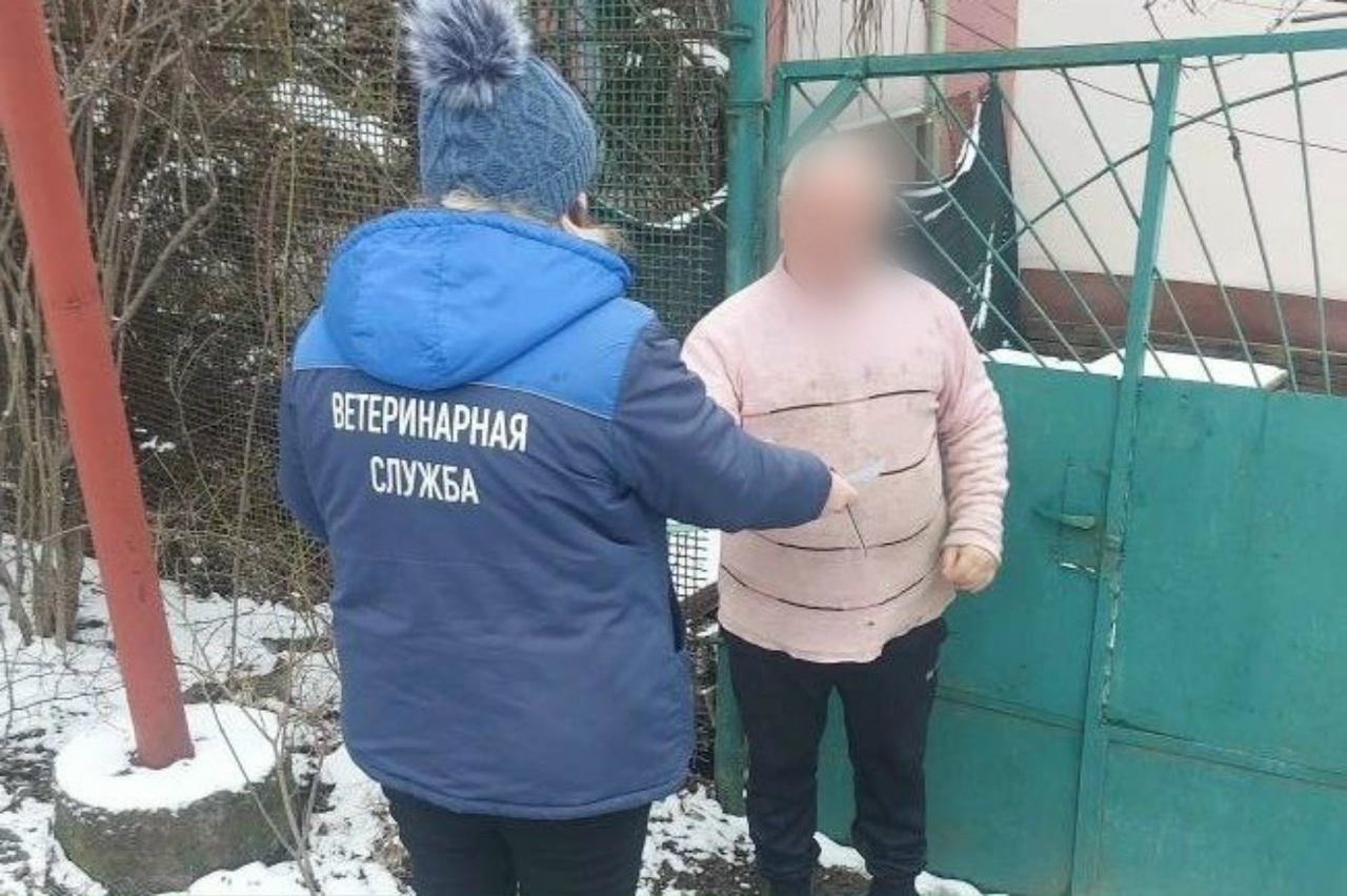 Труп бешеной лисы нашли под Алуштой