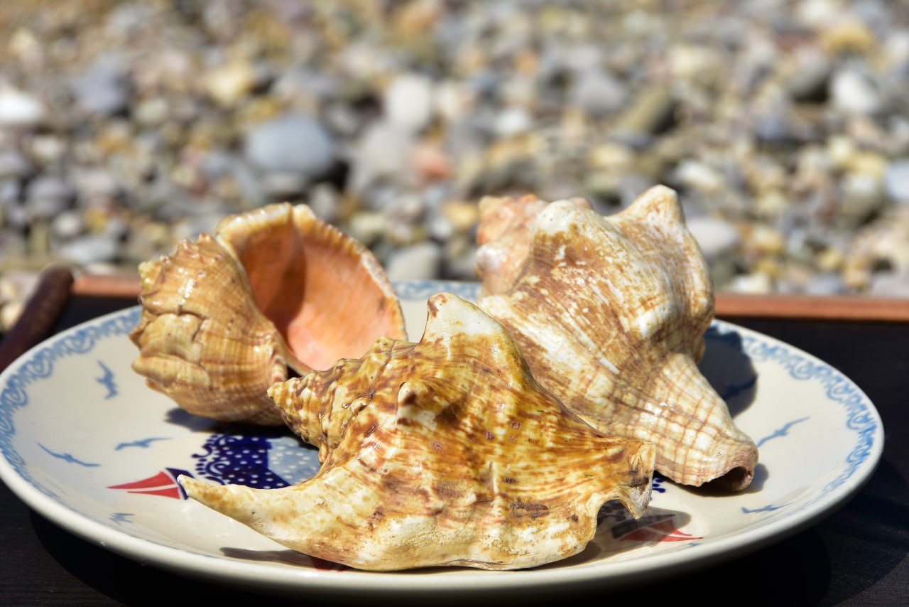 Проблемы с памятью и не только: как понять что в организме не хватает йода и что поможет его восполнить 