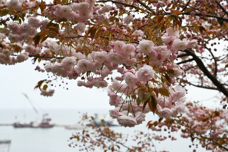 С женским характером: какая погода ждёт крымчан 8 марта