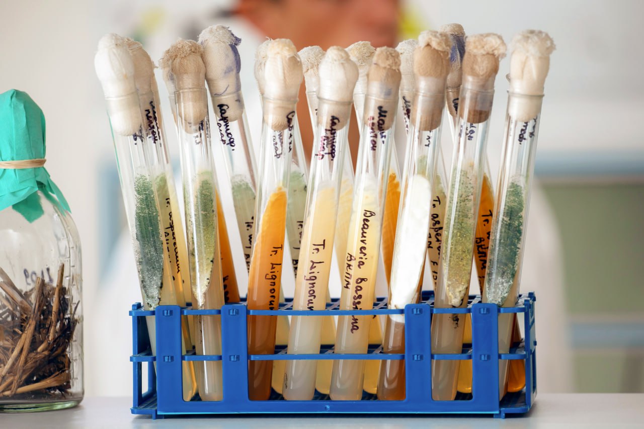 Крымское предприятие разработало уникальные биопрепараты для повышения урожая