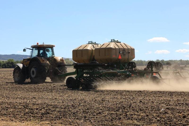 В Крыму взошли все посевы озимых зерновых и технических культур