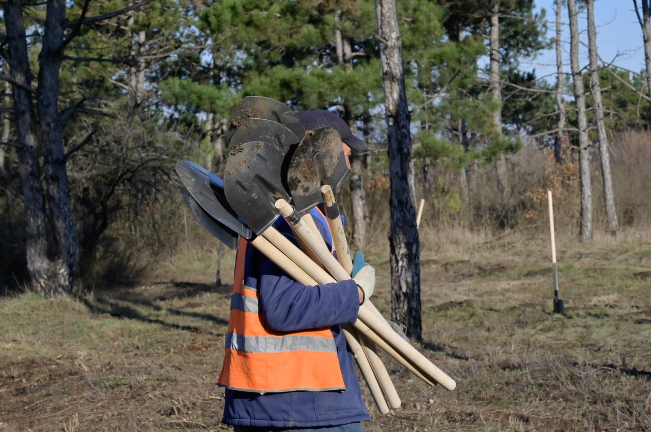Аксенов распорядился увеличить объемы высадки лесов и зелёных насаждений