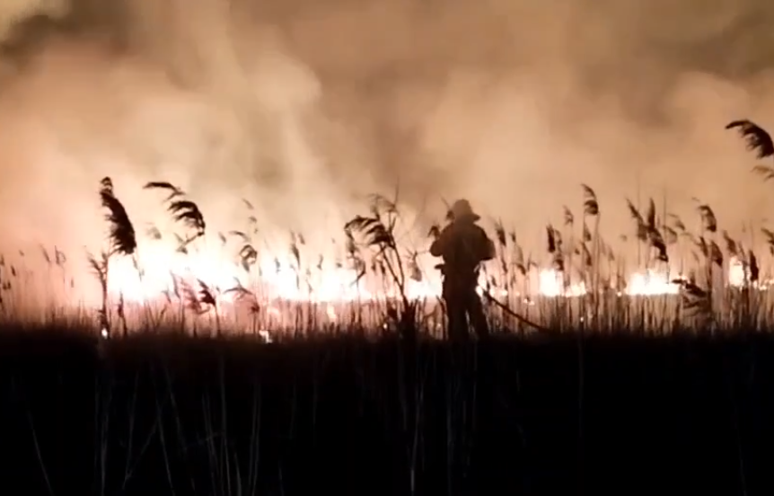 В Кировском районе потушили камыш на площади 200 кв.м