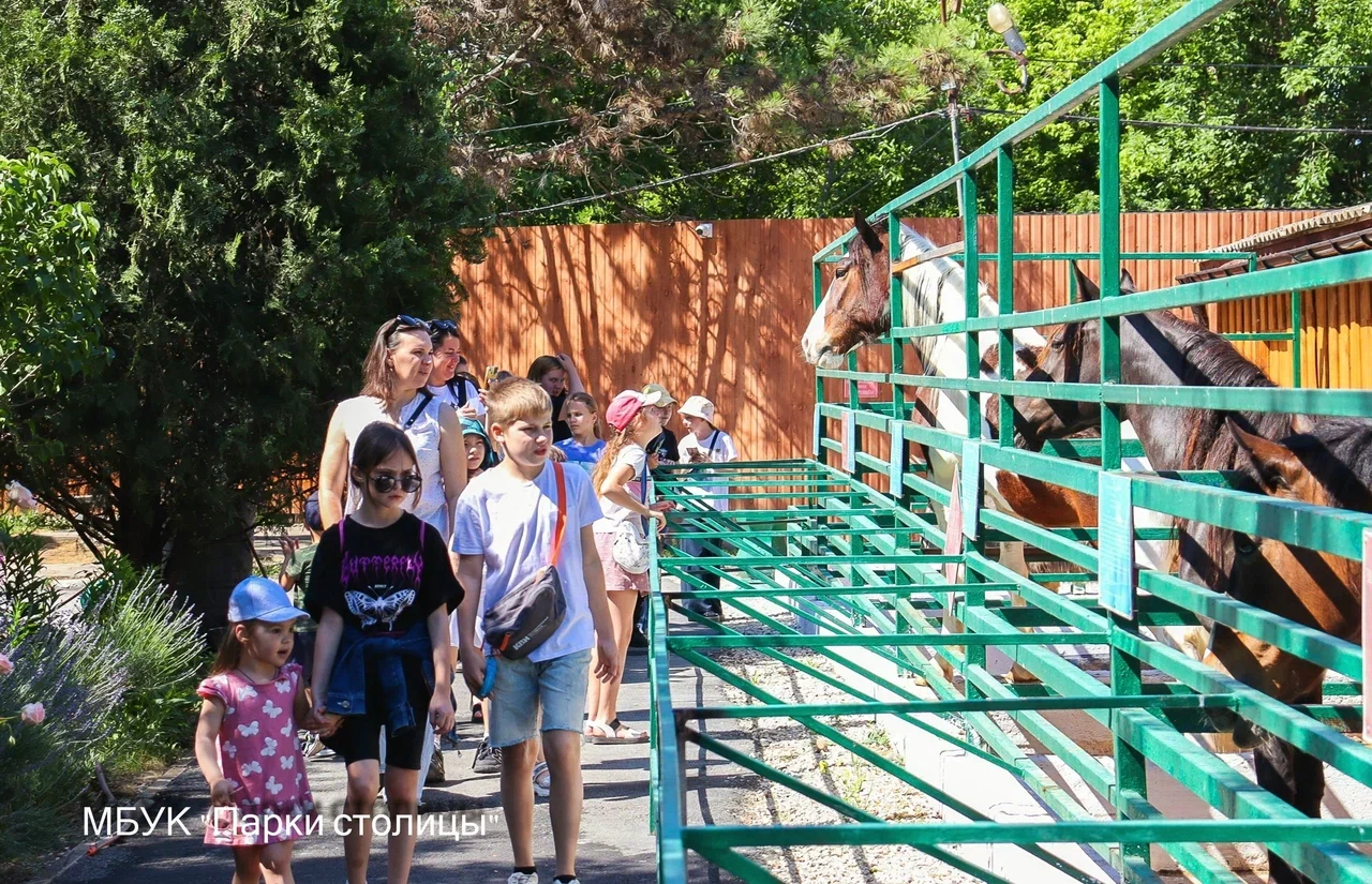 Крымские семьи участников СВО могут бесплатно посещать культурные события