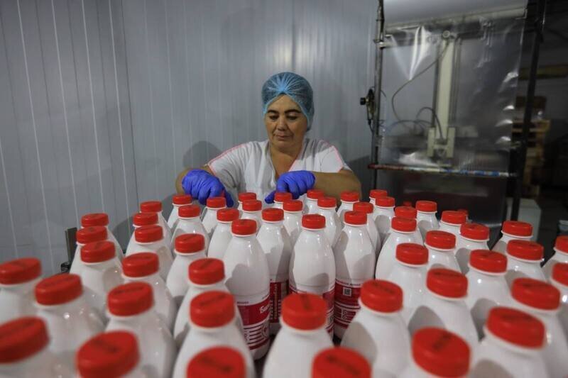 Молокопереработчики Крыма получат 55 миллионов рублей субсидии