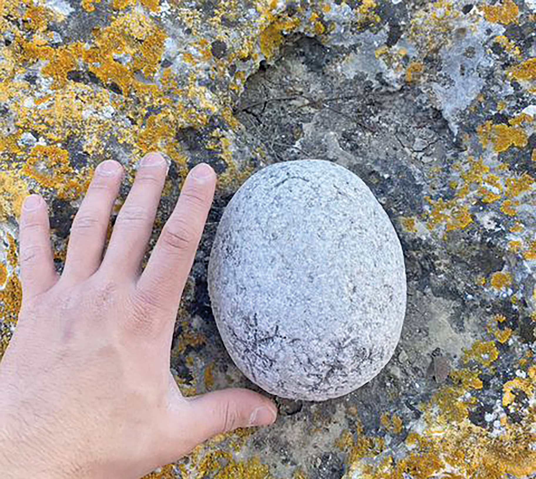 Яйцо дракона, 23 кг удачи и камень из почки: какие необычные предметы крымчане пытаются продать в Интернете