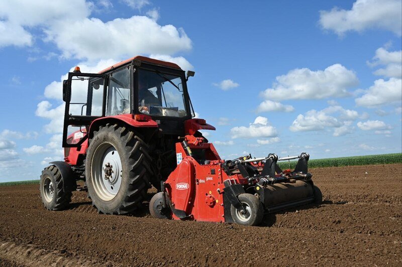 В Крыму увеличили площадь посевов капусты