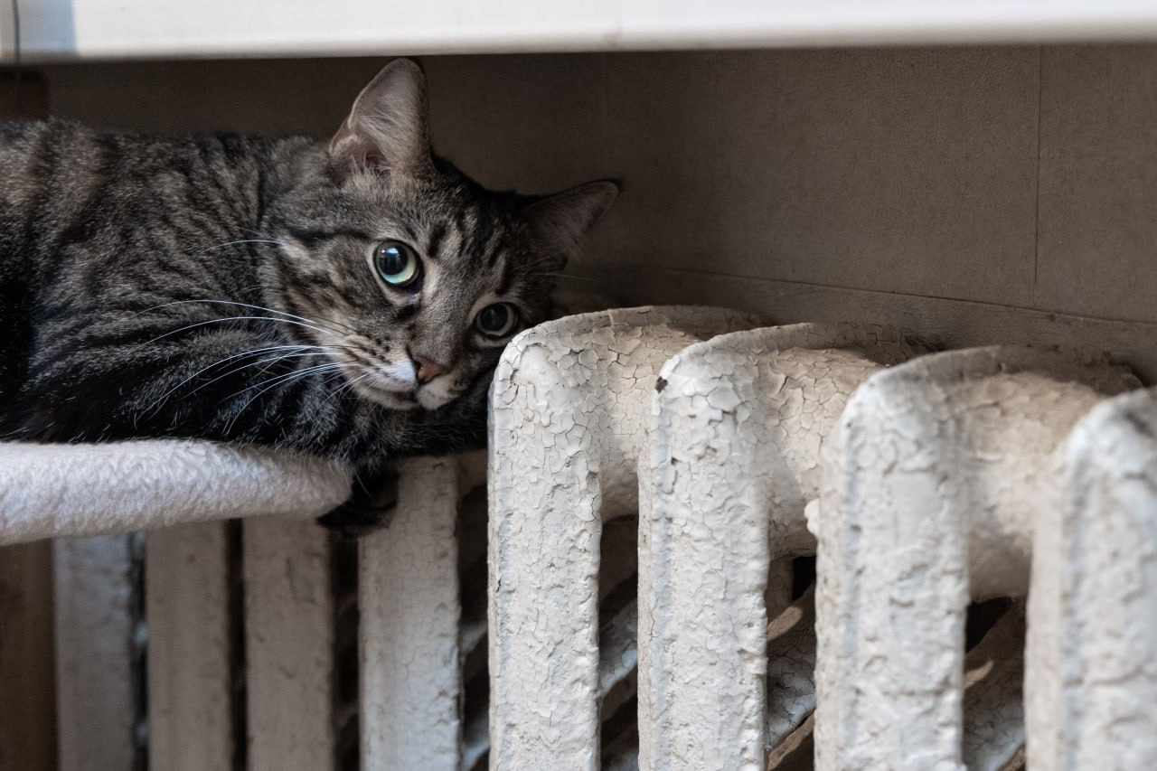 Какой сегодня праздник: 30 ноября