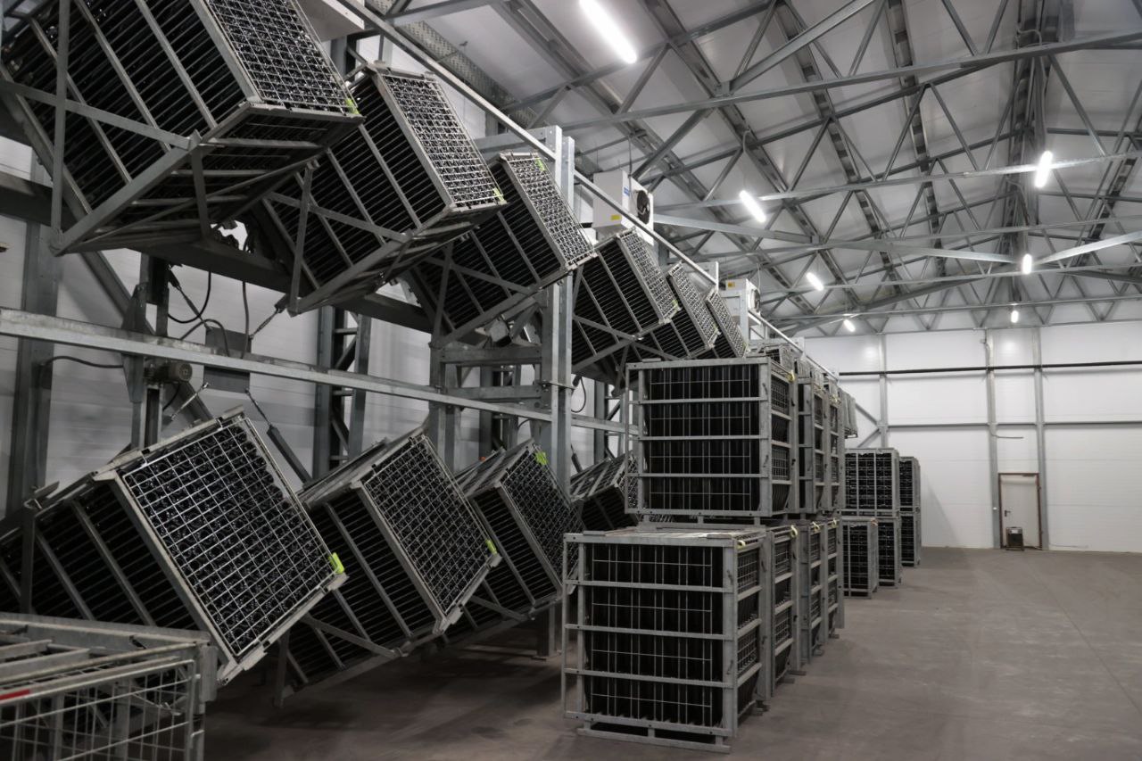 На заводе шампанских вин в Судаке идет реконструкция