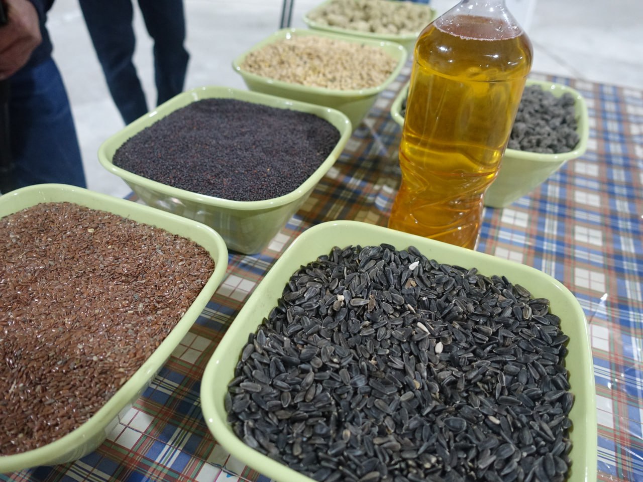 В Крыму заработает крупный завод по производству подсолнечного масла холодного отжима