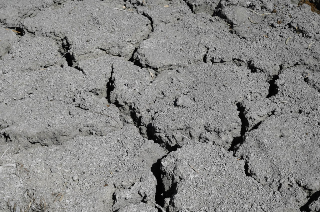 Сейсмолог рассказал, как часто происходят землетрясения в Азовском море и каковы их последствия