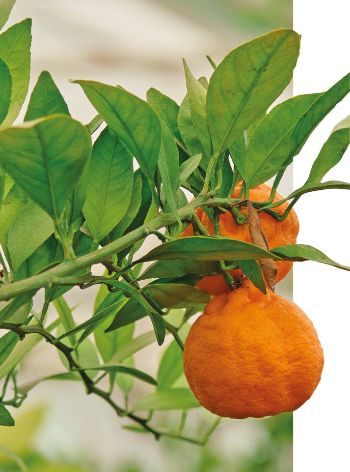 Евгений ЛЕТОВ, пресс-служба НБС Фото: Евгений ЛЕТОВ, пресс-служба НБС