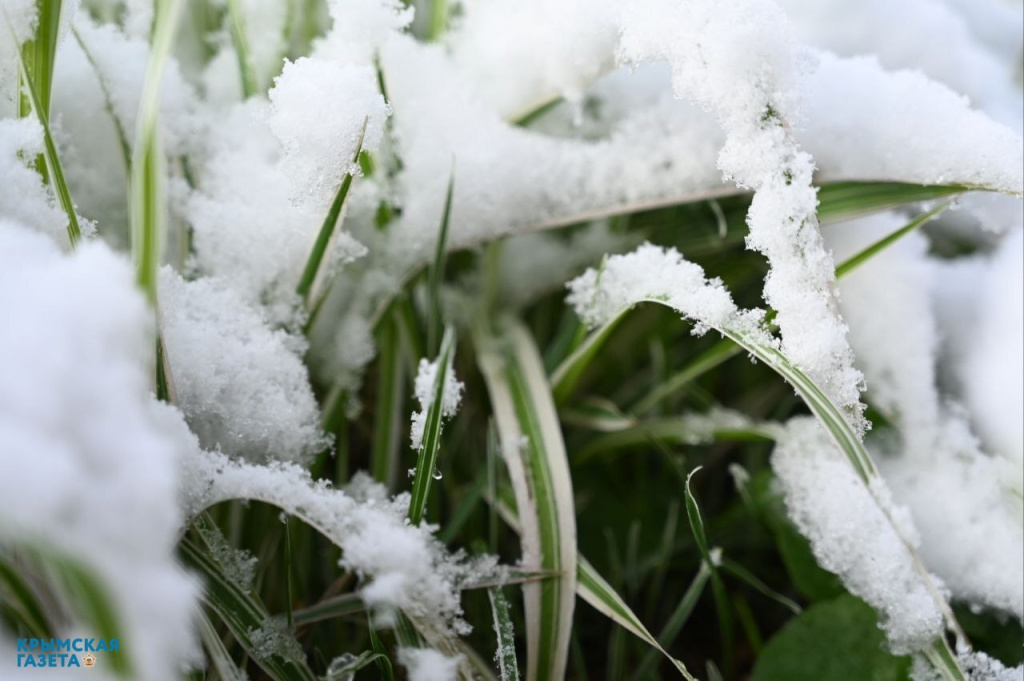 Погода 3 января: днём до +11