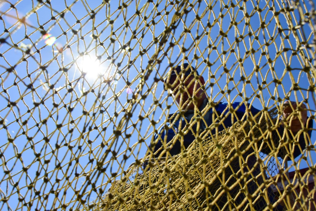 Без улова не останетесь: у берегов Крыма нашествие кефали