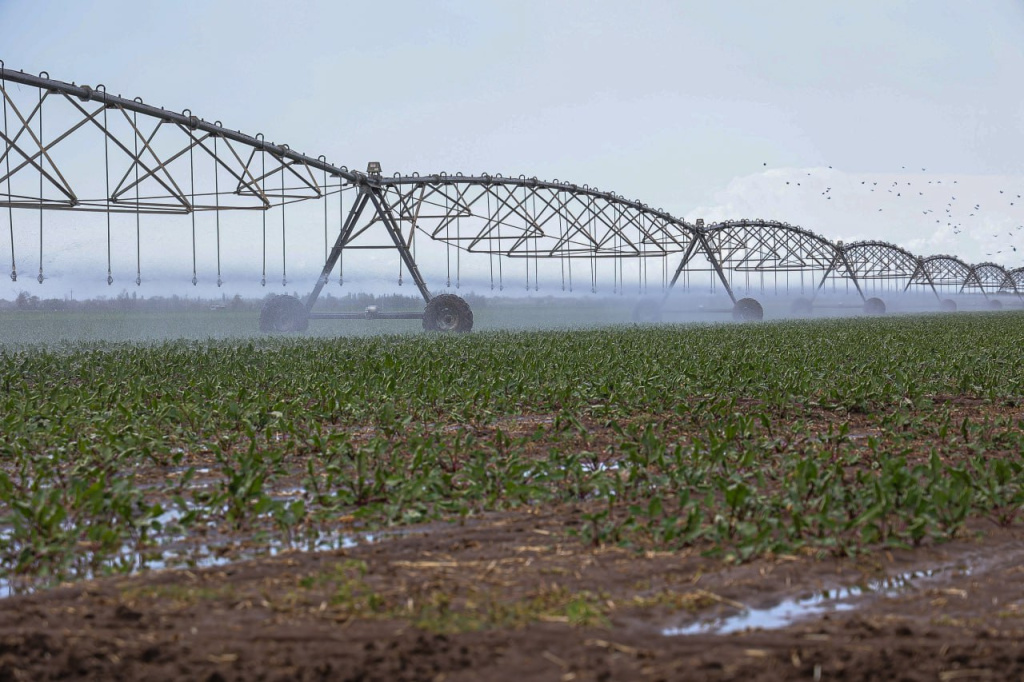 На поддержку крымских мелиораторов выделят свыше 228 млн рублей