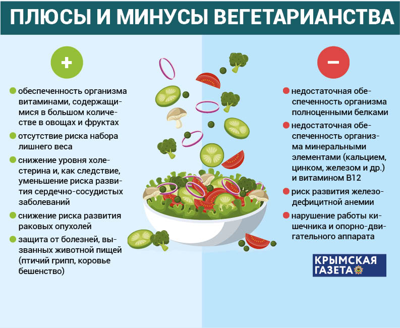 инфографика инфографика