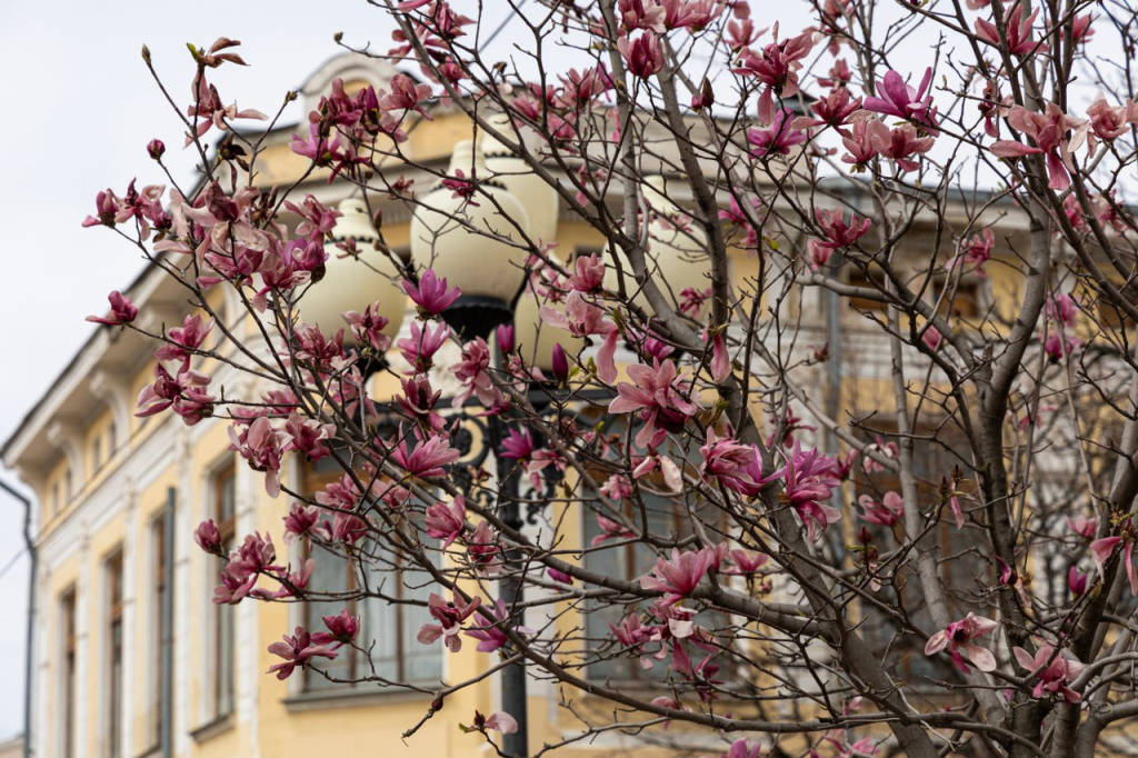 Погода 12 мая: пасмурно и дождливо
